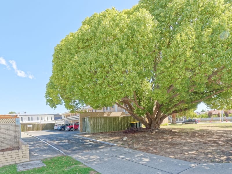 10/10 Walter Road West, Inglewood, WA 6052 AUSTRALIA