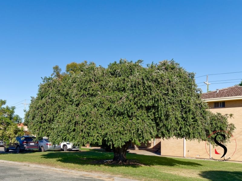 5/122 Albert Street, Osborne Park, WA 6017 AUSTRALIA